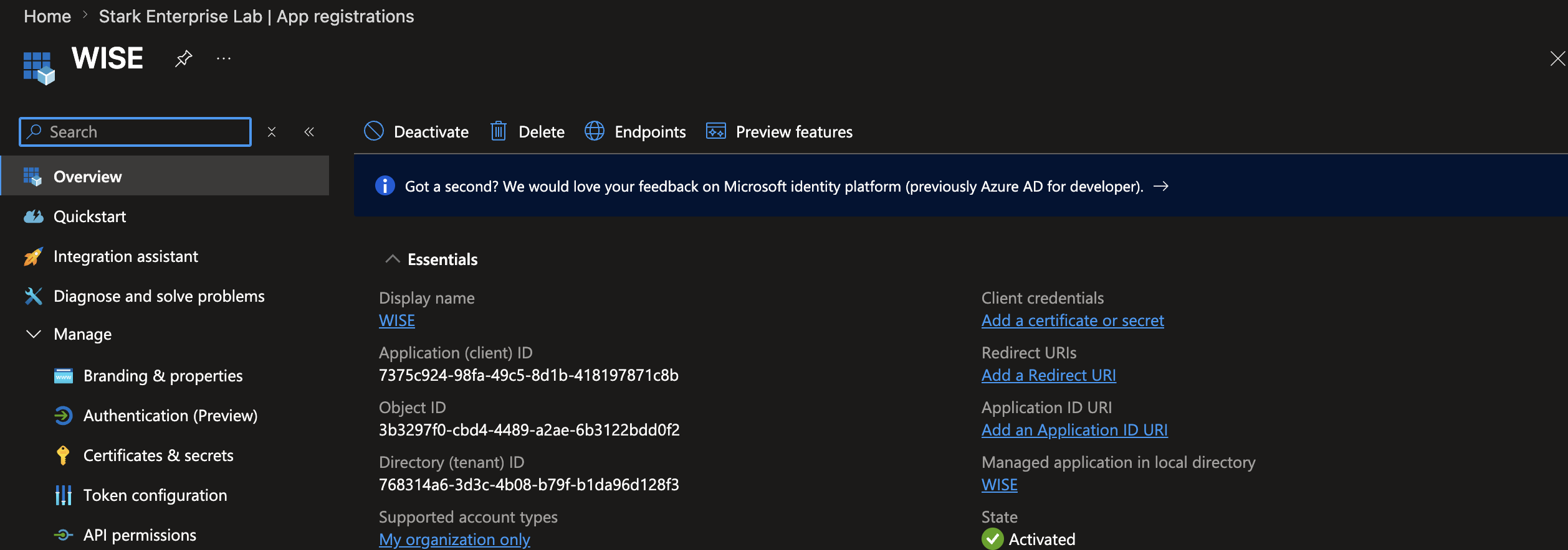 Microsoft Entra ID App Registration overview for the WISE app, showing the Application ID, Directory ID, and Object ID